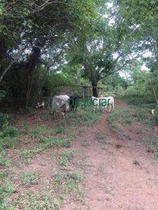 Fazenda/Sitio/Chácara 3 quartos no bairro Área Rural Esmeraldas: 